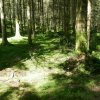 Romantische Mühlen im Schwäbischen Wald